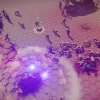 #KILLALLZOMBIES
