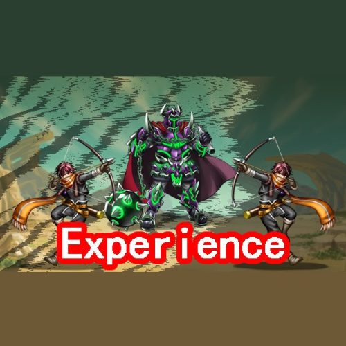 Experience