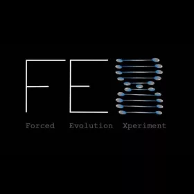 F.E.X (Forced Evolution Experiment)