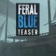 Feral Blue