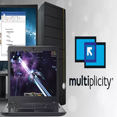 Multiplicity