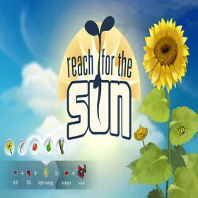 Reach for the Sun