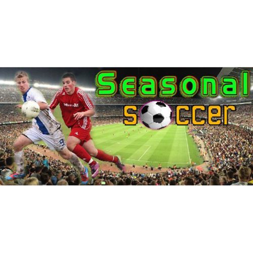 Seasonal Soccer