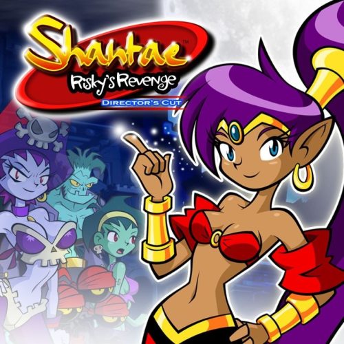 Shantae: Risky's Revenge - Director's Cut