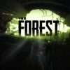 The Forest