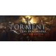 Torment: Tides of Numenera Day One Edition (EMEA)