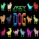 Domestic Dog