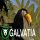 Galvatia