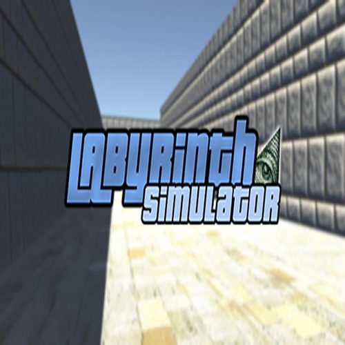 Labyrinth Simulator