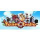 Team Indie