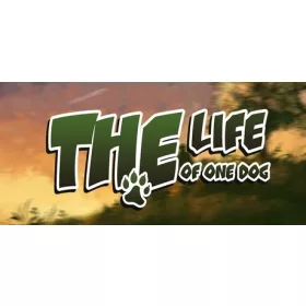 The Life of One Dog