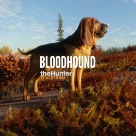theHunter: Call of the Wild - Bloodhound (DLC)