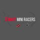 Eight Mini Racers