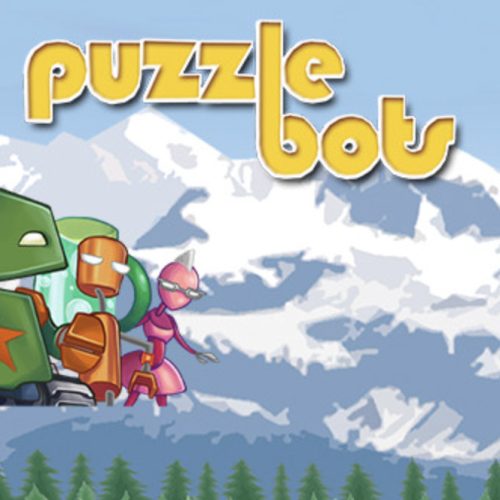 Puzzle Bots