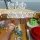 Tea Party Simulator 2015