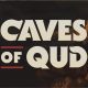 Caves of Qud