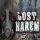 Lost Harem