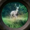 theHunter: Call of the Wild - Mississippi Acres Preserve (DLC)