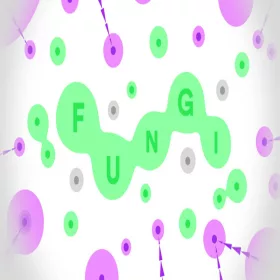 FUNGI