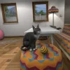 House Flipper Pets VR [VR]