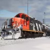 Train Sim World 2: BR Class 33 Loco Add-On (DLC)