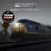 Train Sim World 2: CSX C40-8W Loco Add-On (DLC)