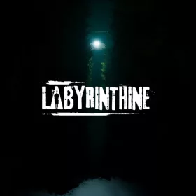 Labyrinthine