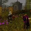 Neverwinter Nights: Complete Adventures