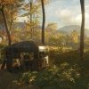 theHunter: Call of the Wild - Essentials DLC Bundle (DLC)