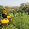 Lawn Mowing Simulator: Ancient Britain (DLC)