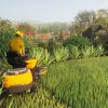 Lawn Mowing Simulator: Ancient Britain (DLC) (EU)