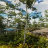 Hotel: A Resort Simulator - Lake DLC (DLC)