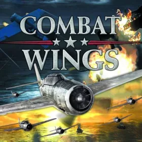 Combat Wings