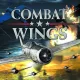 Combat Wings
