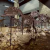 Dinosaur Fossil Hunter