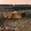 Steel Division 2: Tribute to Normandy '44 (DLC)
