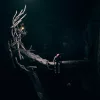 Someday You'll Return: Director's Cut