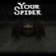 Your Spider