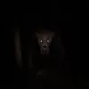 The Hunted