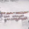 Ancient Warfare: The Han Dynasty