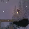 Salt and Sacrifice