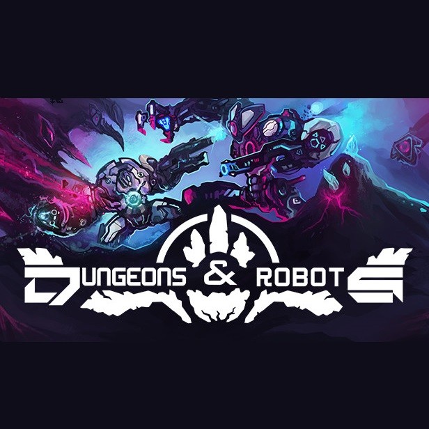 Dungeons and Robots